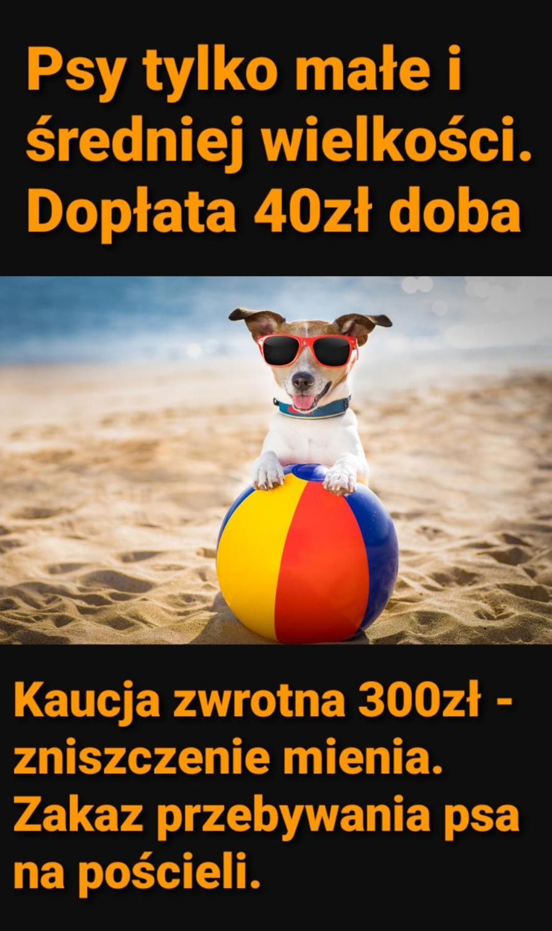 Pokoje Sandra II Łeba Exteriör bild